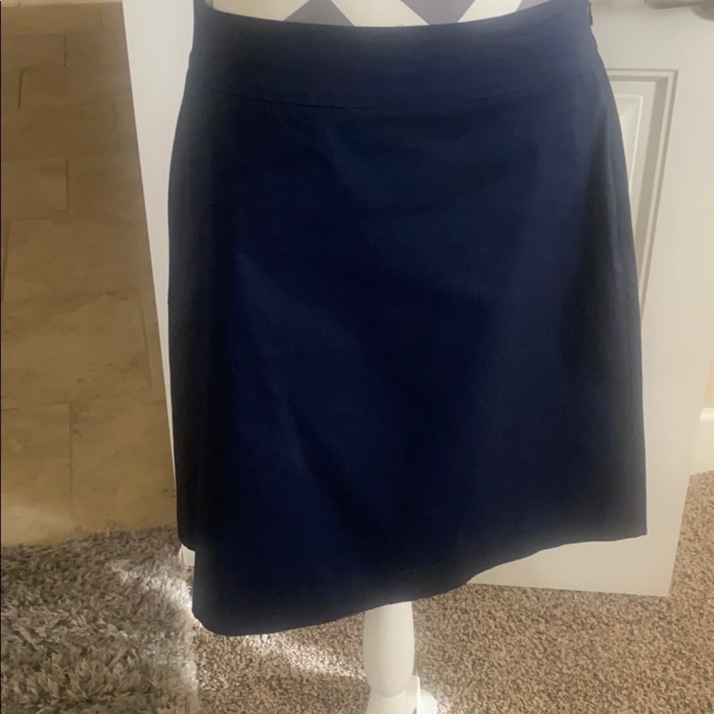 Ann Tylor beautiful skirt